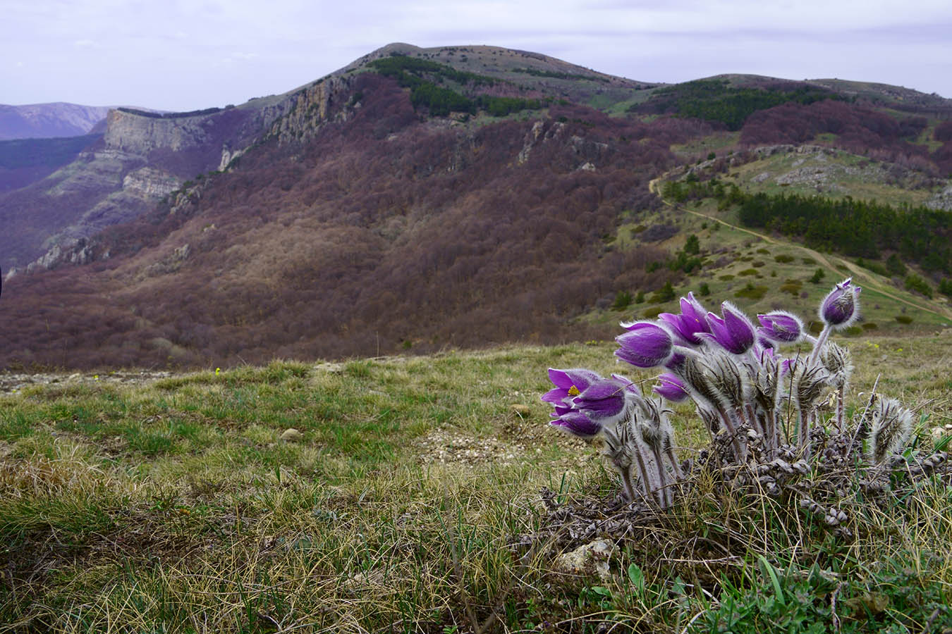 На Южном Демирджи