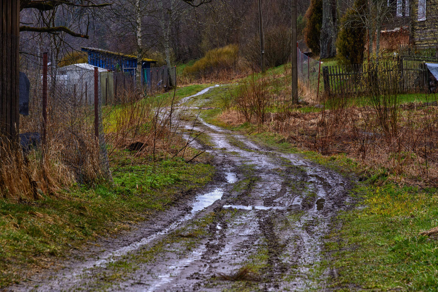Праздничная погода