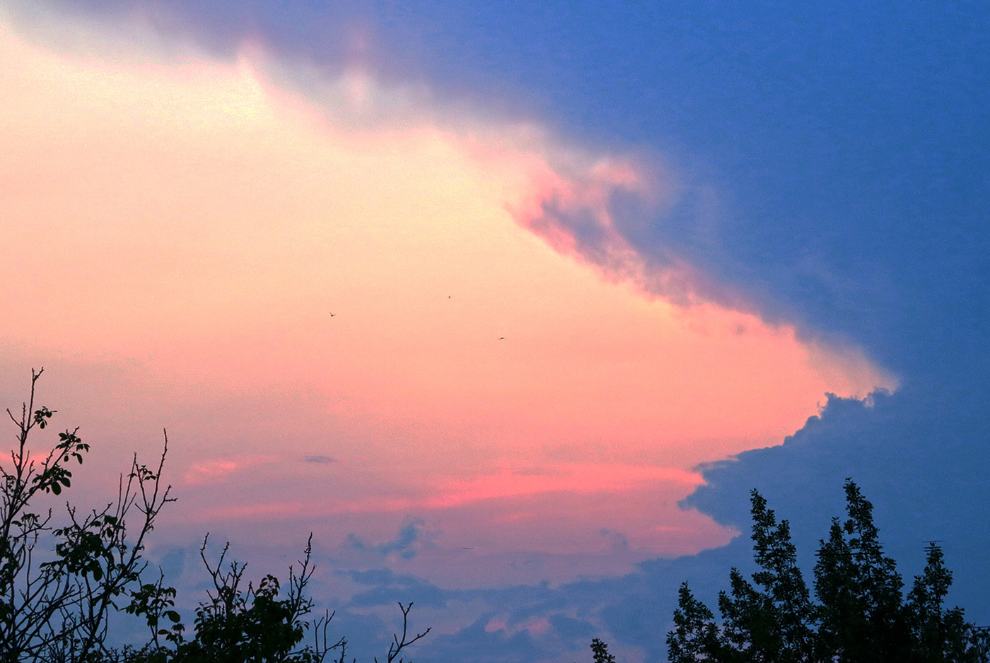 Закантый прожектор