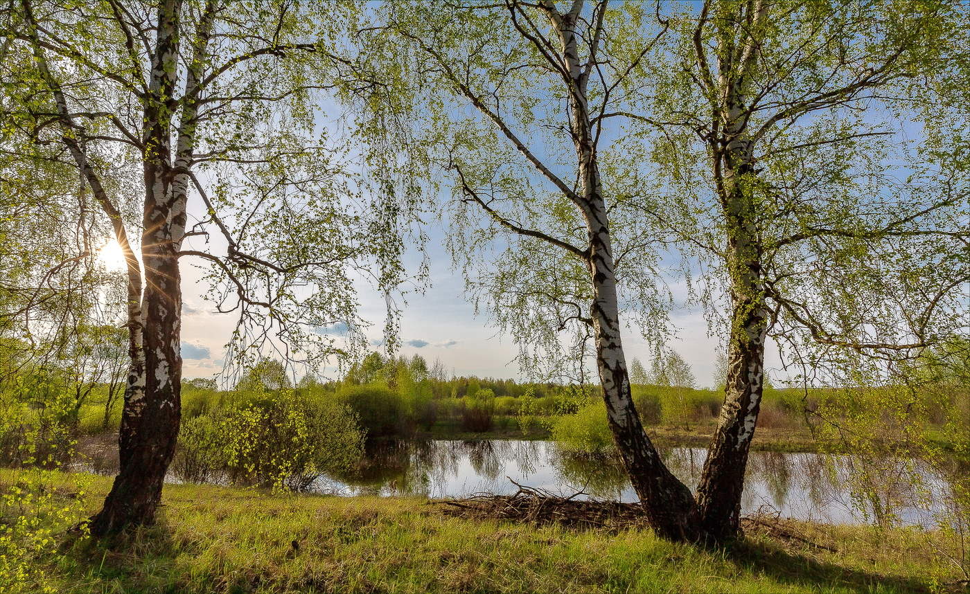 На берегу реки весенней...