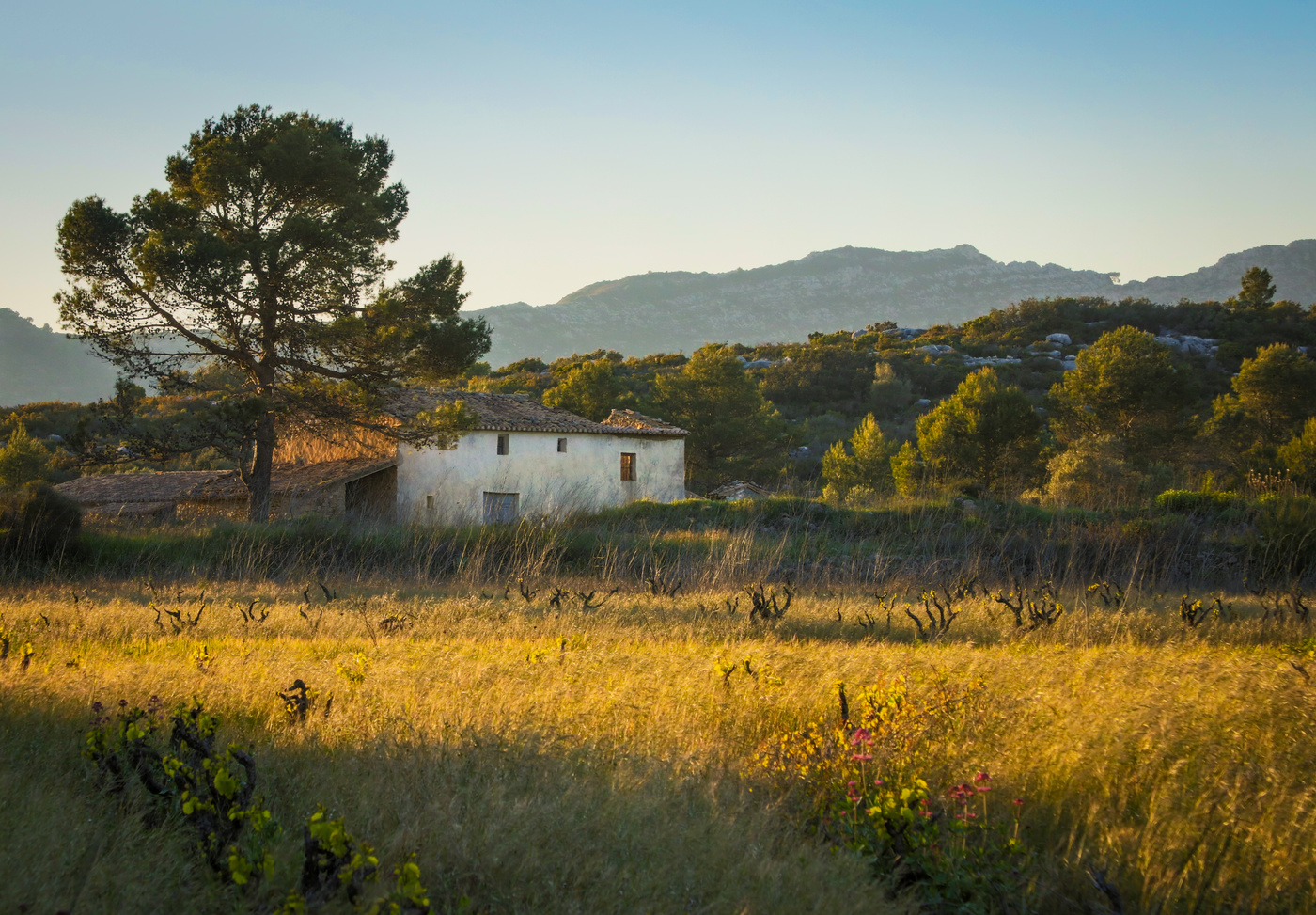 Вечерний пейзаж