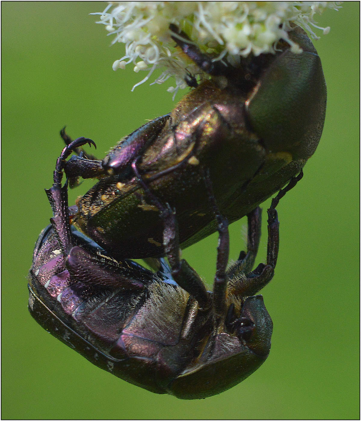 Акробатика любви.