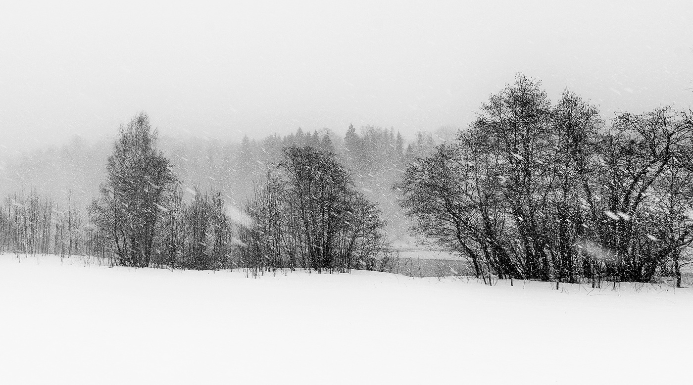 "Кружит белая вьюга, тихо ходит зима ..."