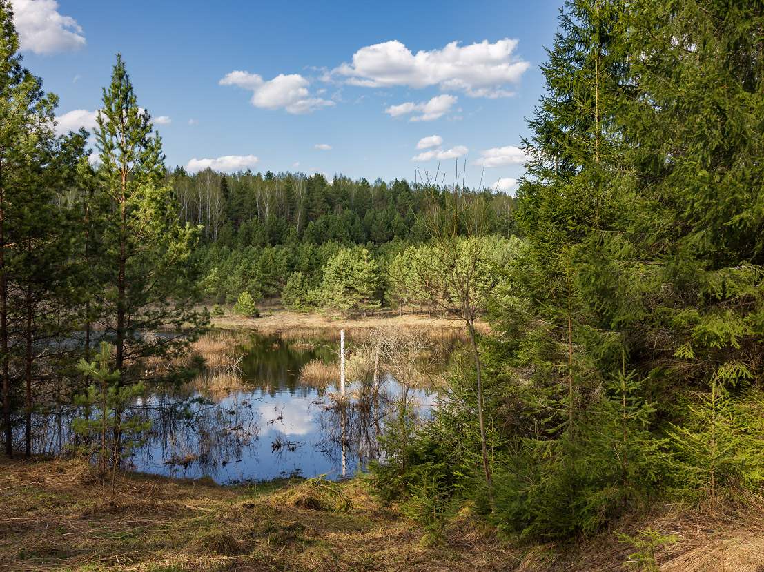 Погожий денек на Таре
