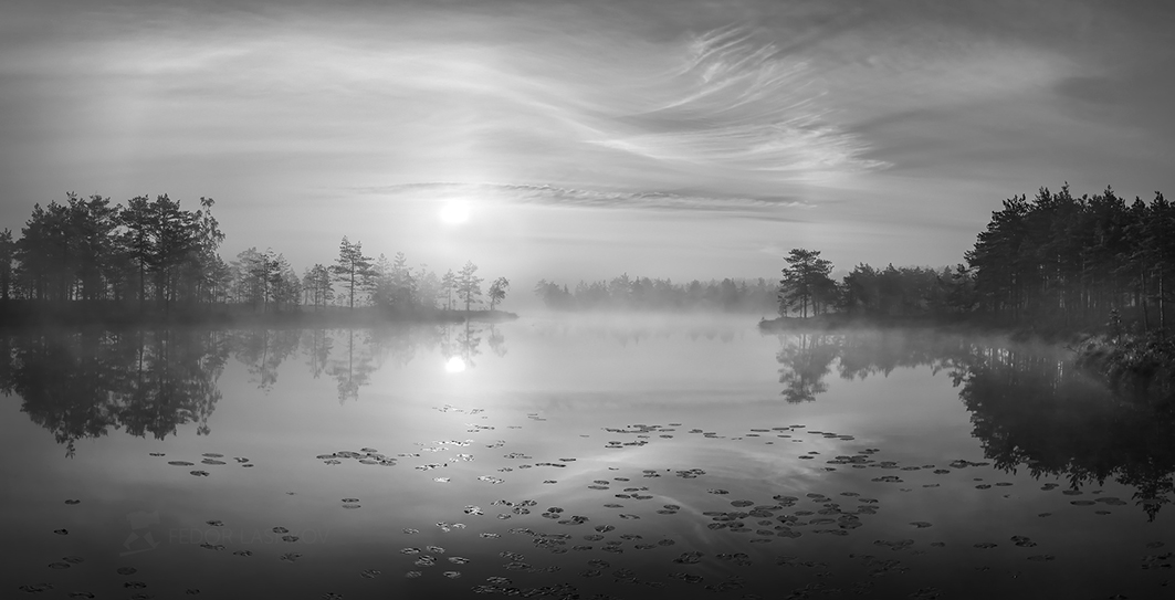 Музыка тени и света