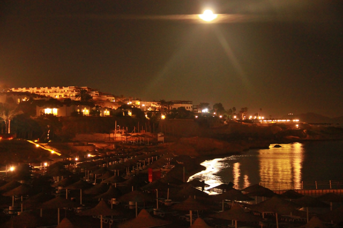 Ночной Шарм