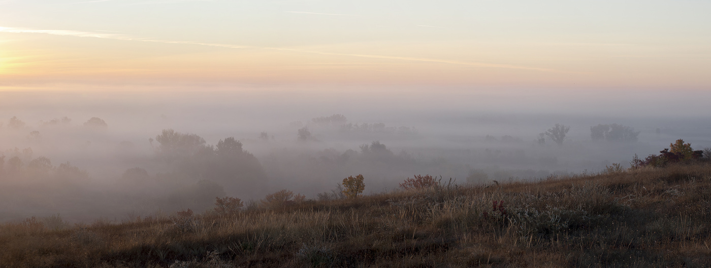 Туманный рассвет