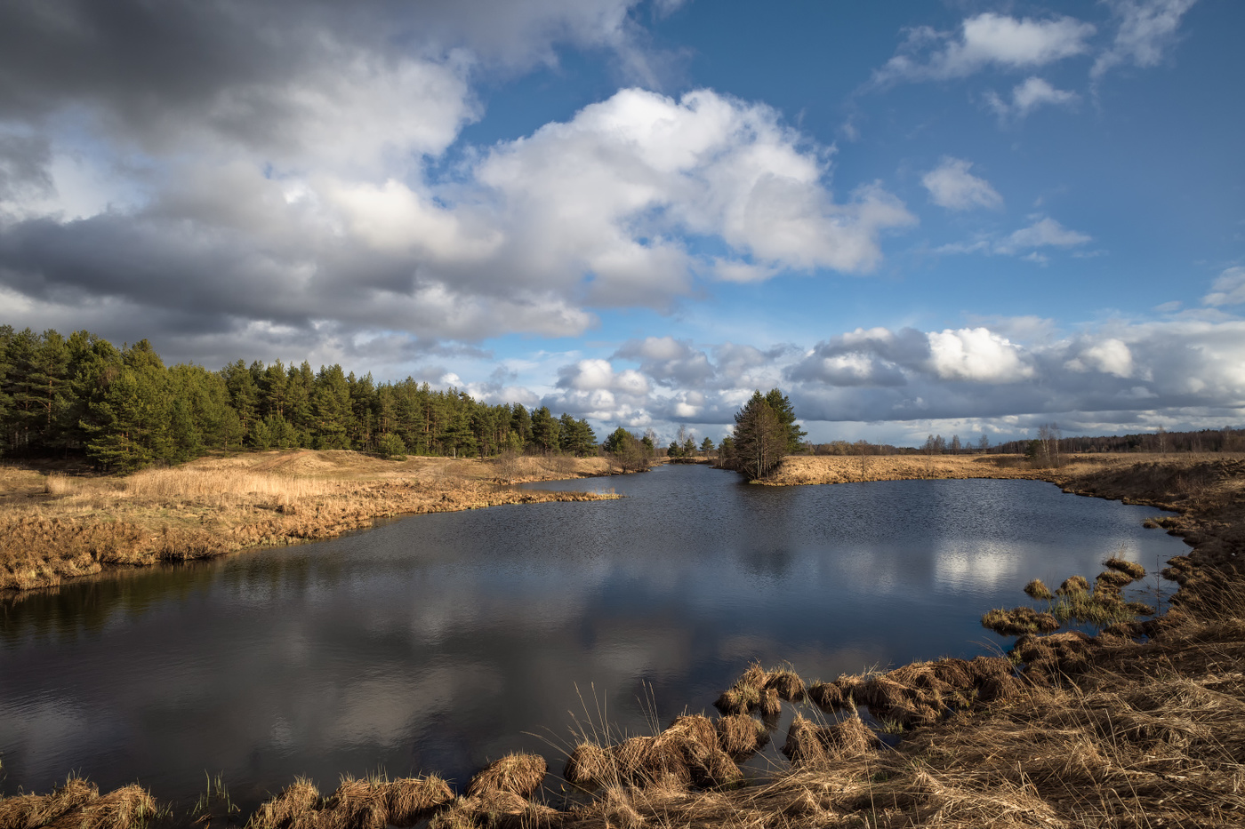 весеннии днём