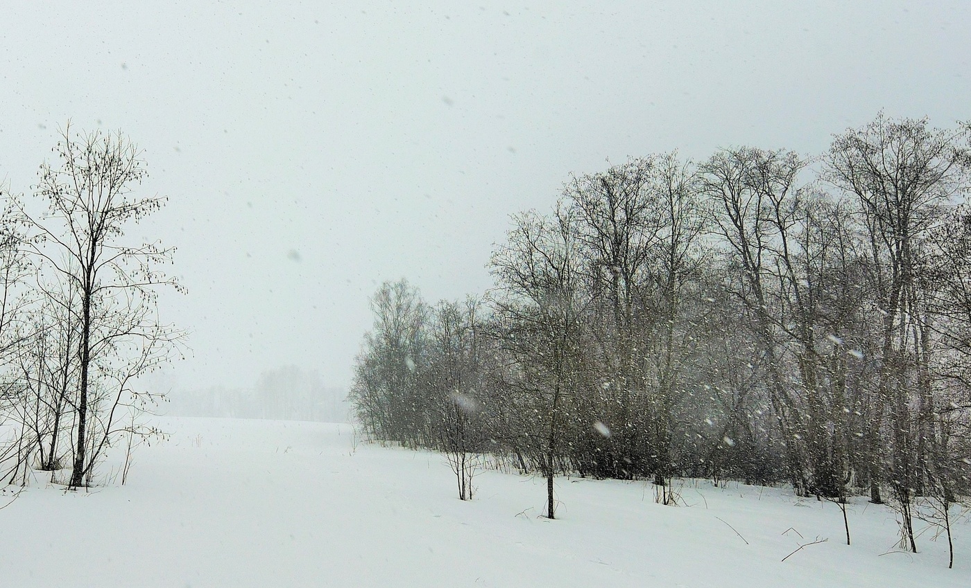 "Ветер дует, ветер свищет, на дворе пурга лютует..."