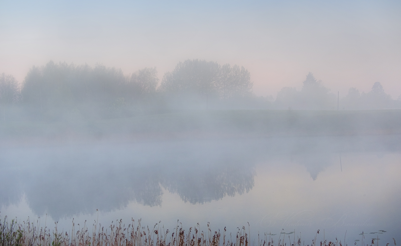 Туманные отражения