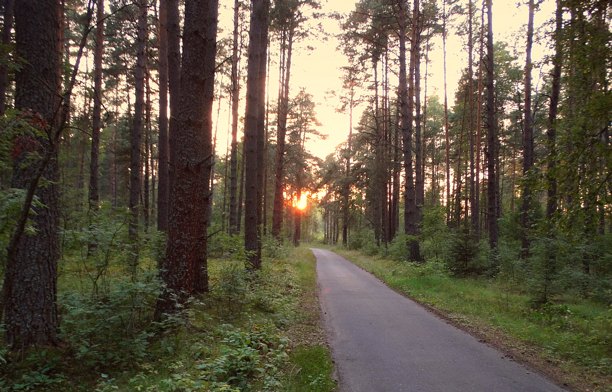 На встречу закатному солнцу