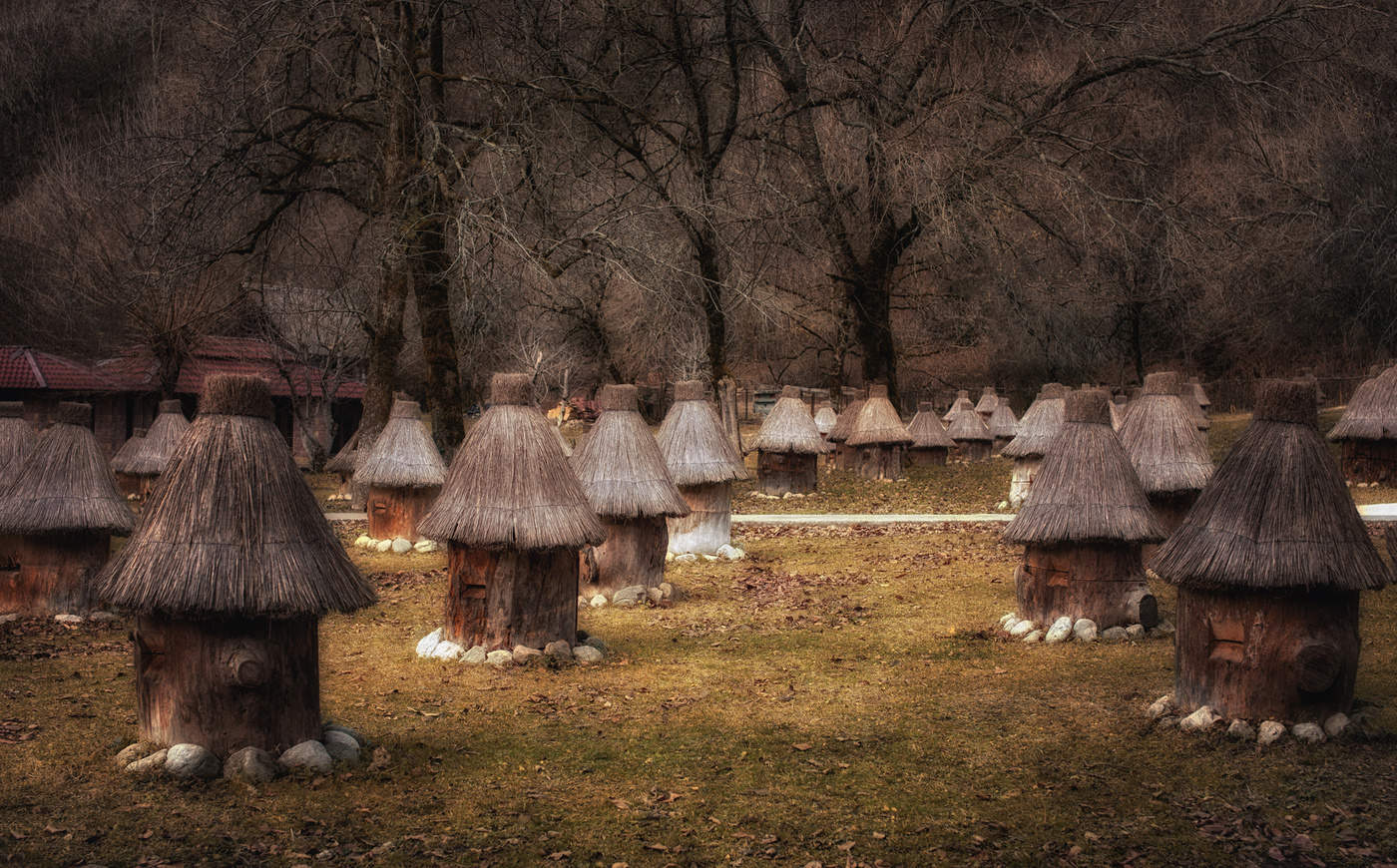 Пасека. Село Псу...