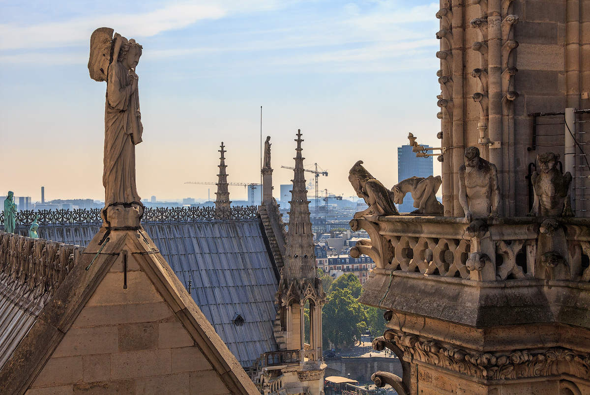 Они наблюдают...