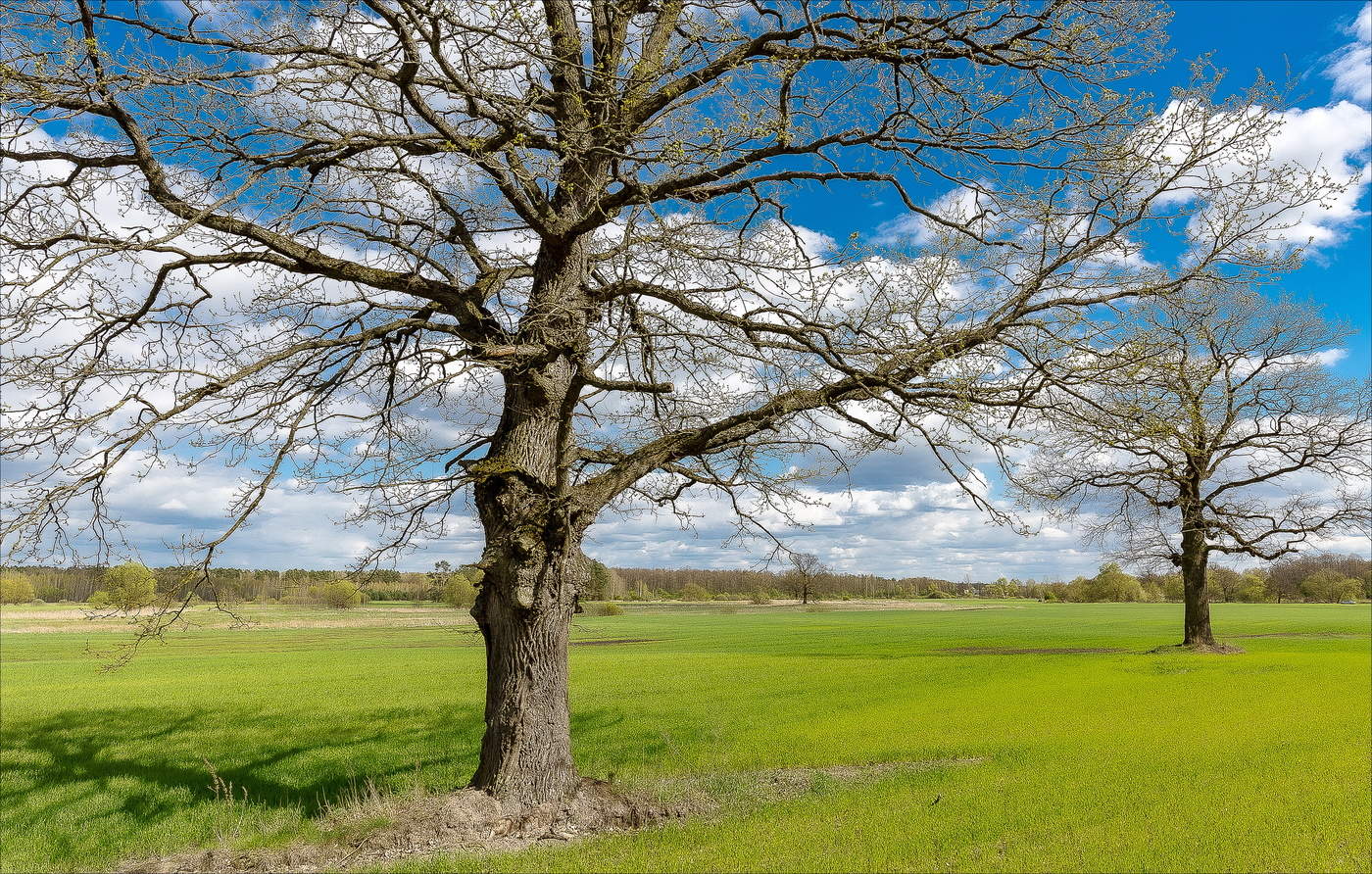 На страже полей.