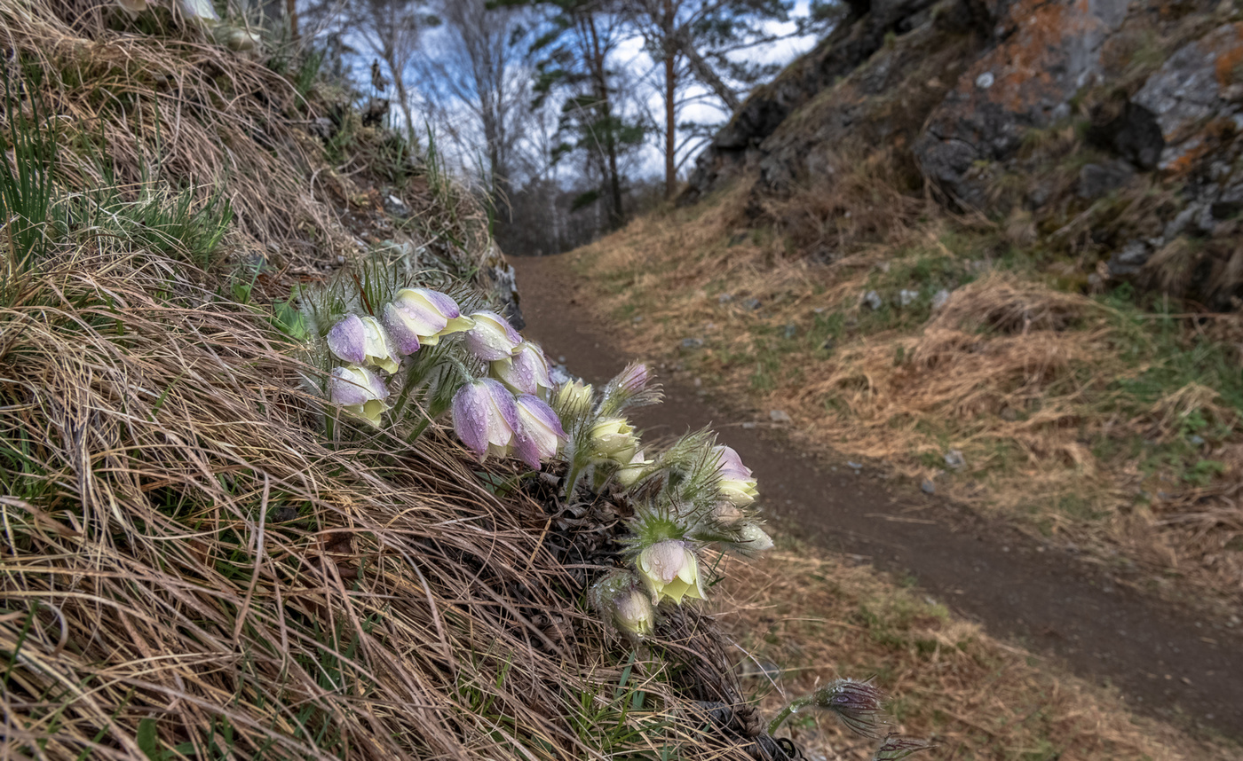 Дружная семейка.