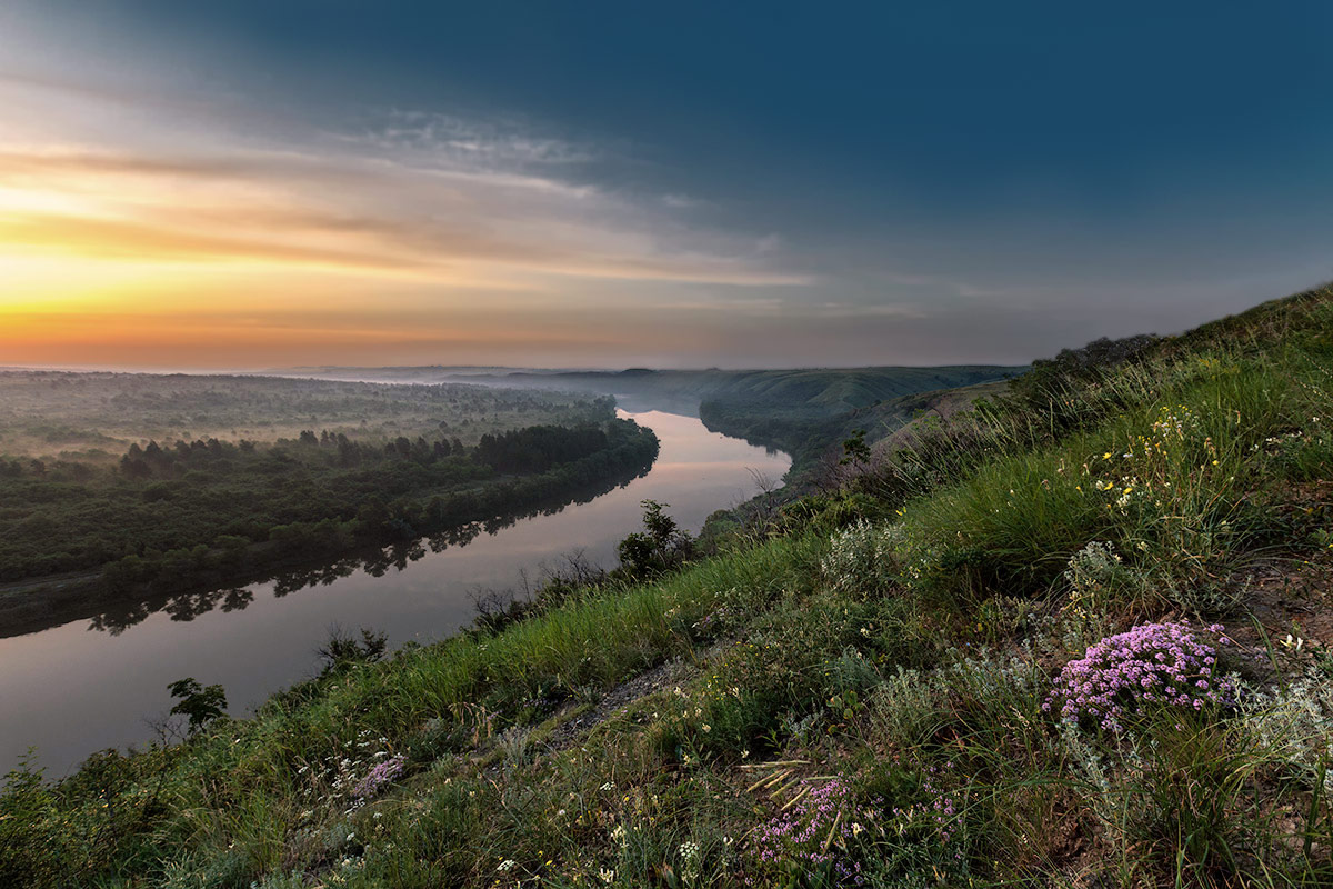 Донец, чабрец