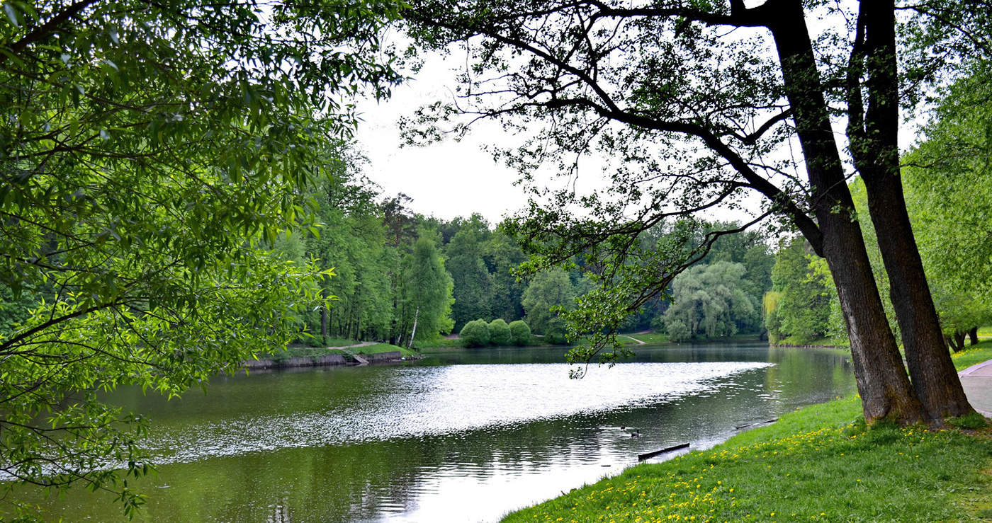 Верхний Царицынский пруд.