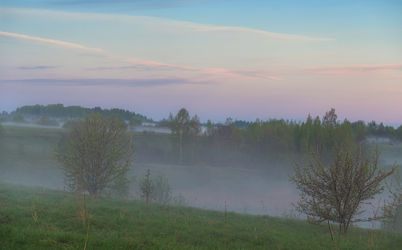 Туманные перелески