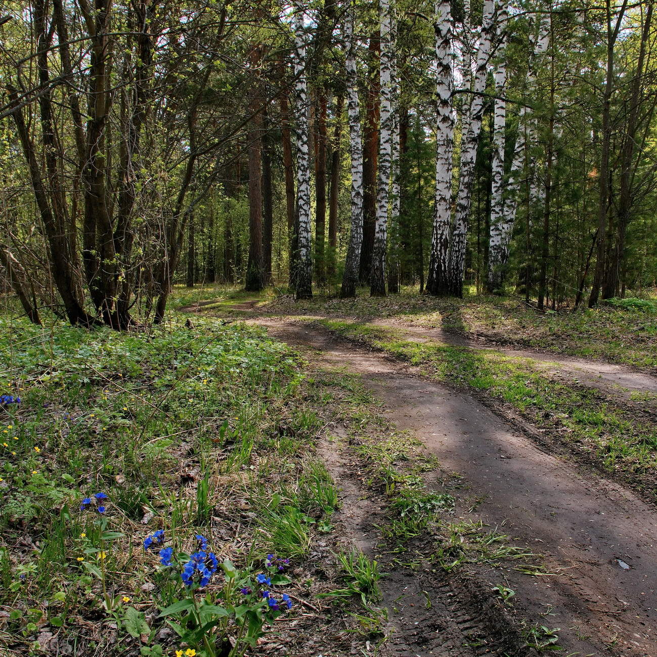 *Скоро лето.**