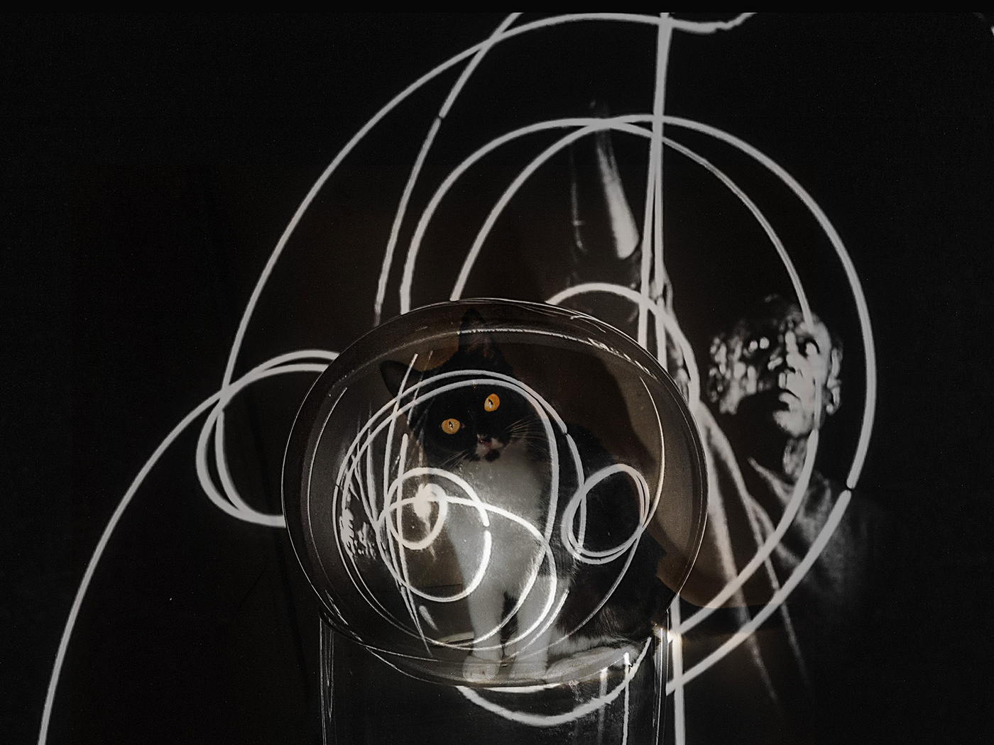 Вселенная Пикассо.