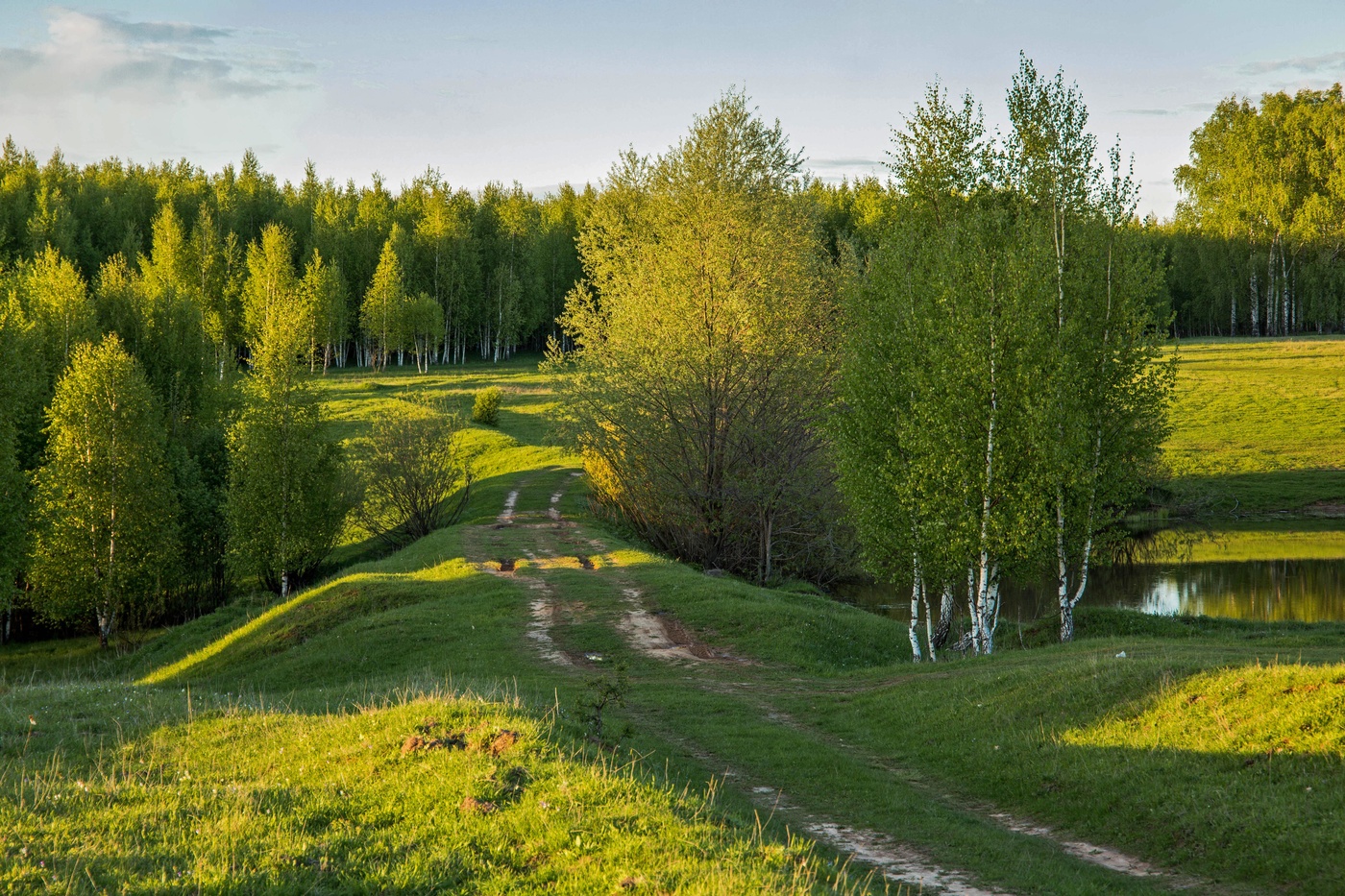 Майская зелень