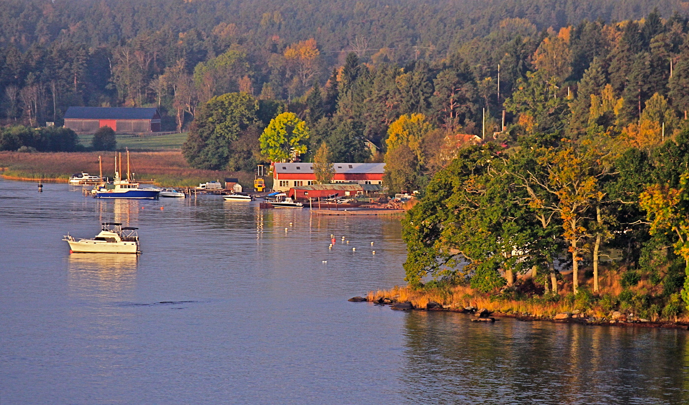 Нежный свет