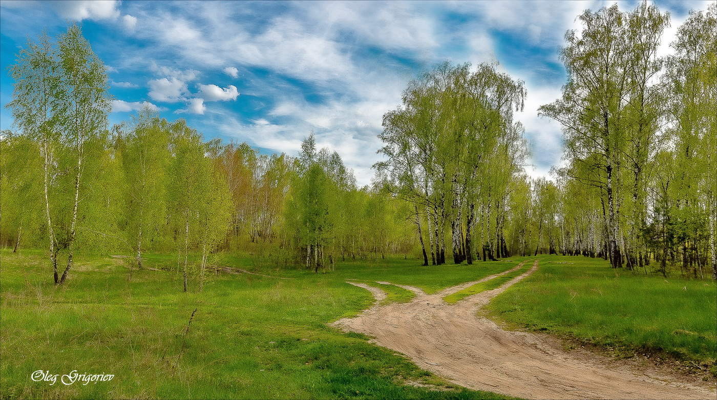 Свежесть Майского леса.