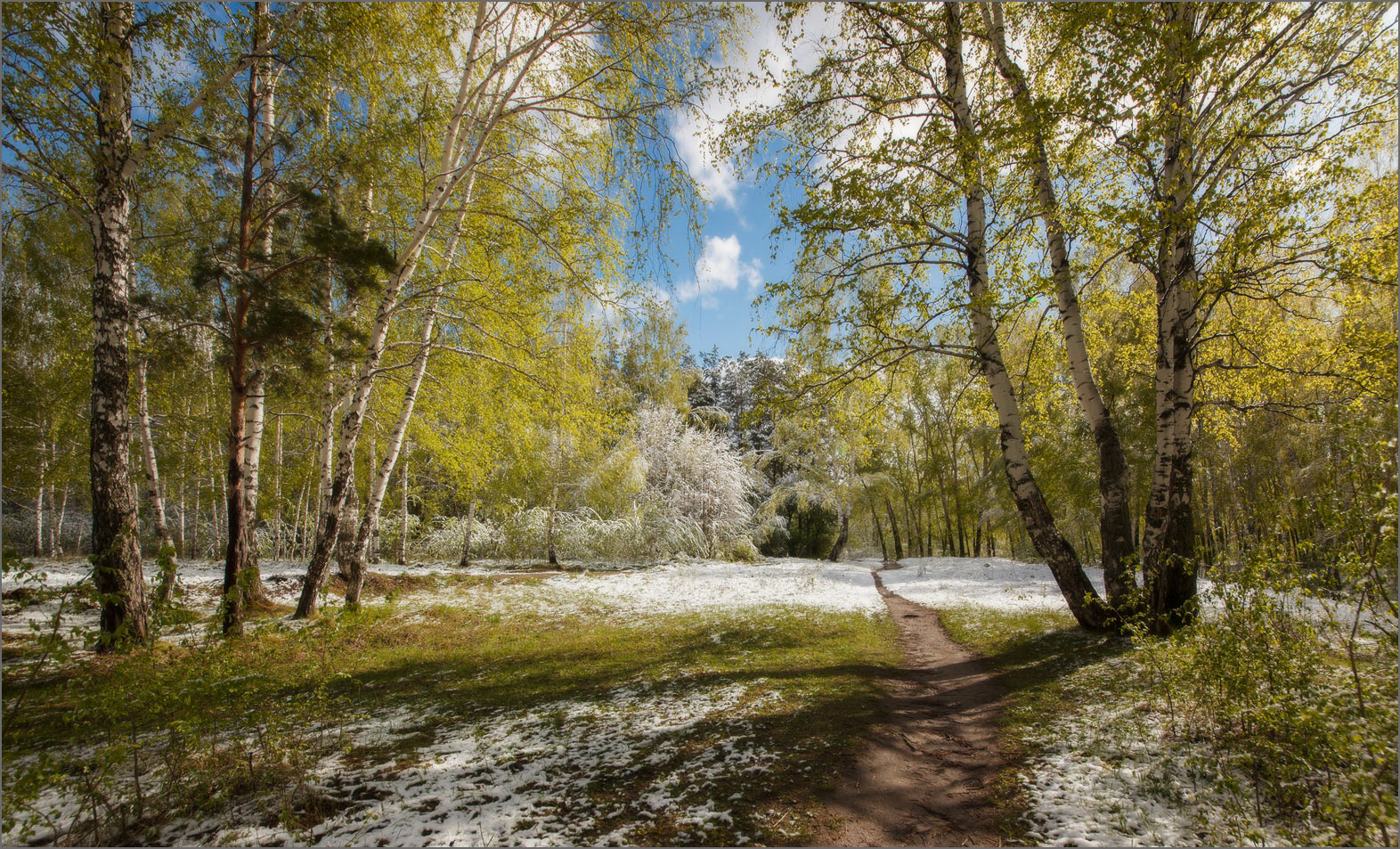 Непредсказуемый май...