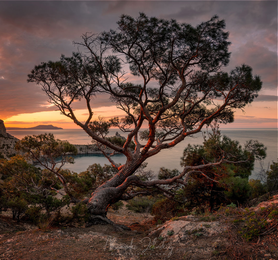В первых лучах