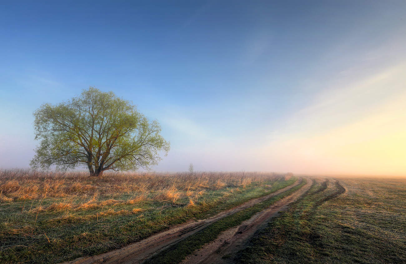 Уходящая в туман..