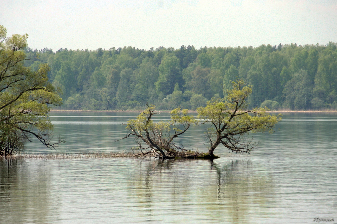 Волга, весна....