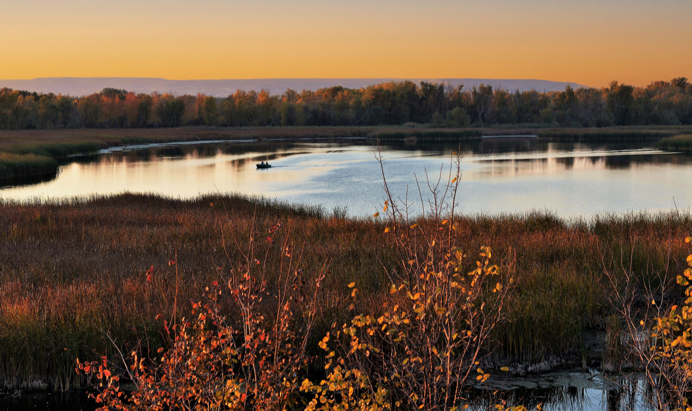 В осенних затонах.