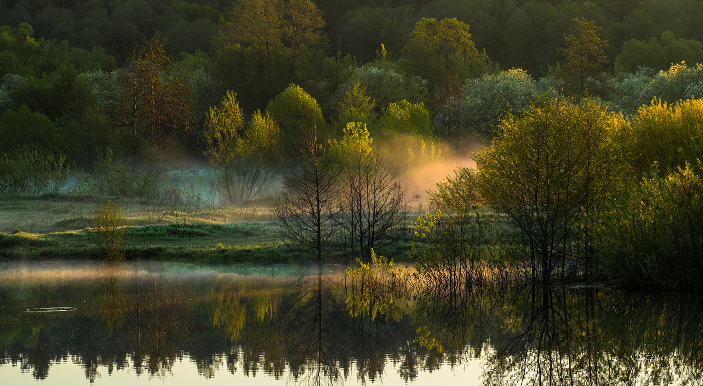 Весенний пейзаж.