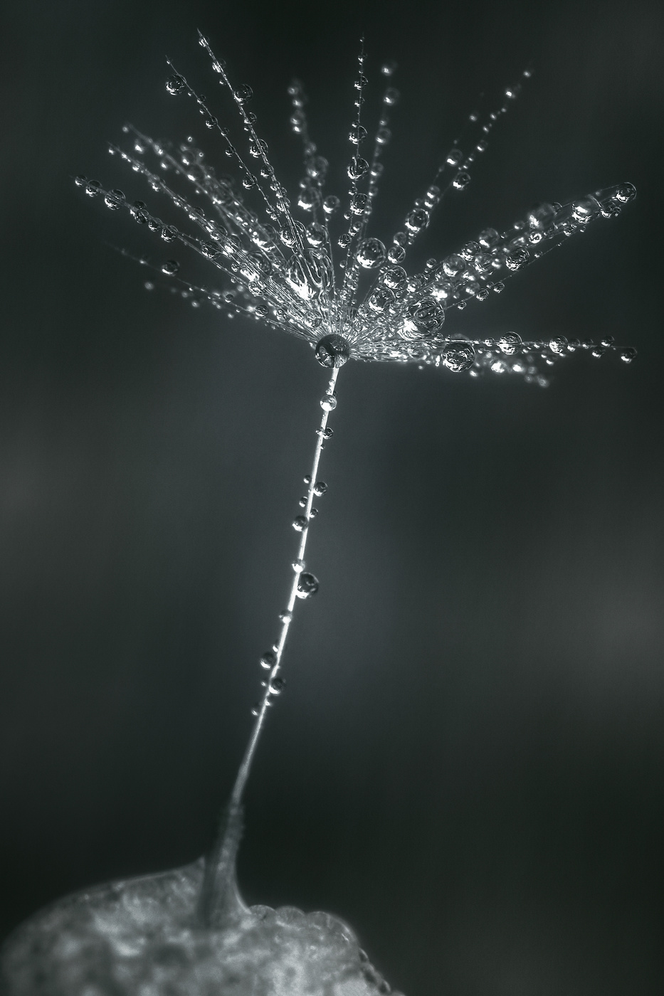 Хрустальный зонтик.