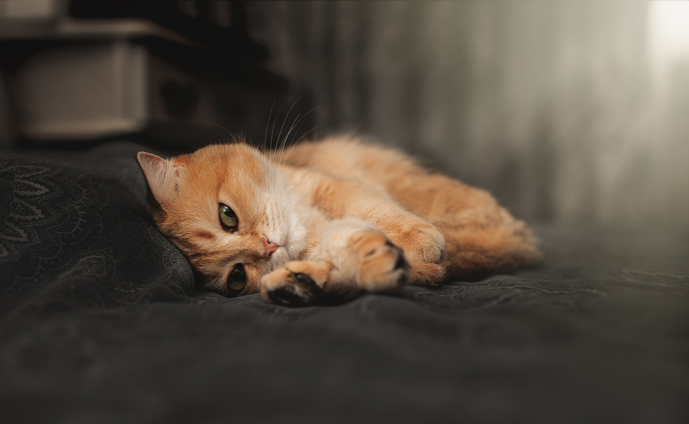 Сон с открытыми глазами...