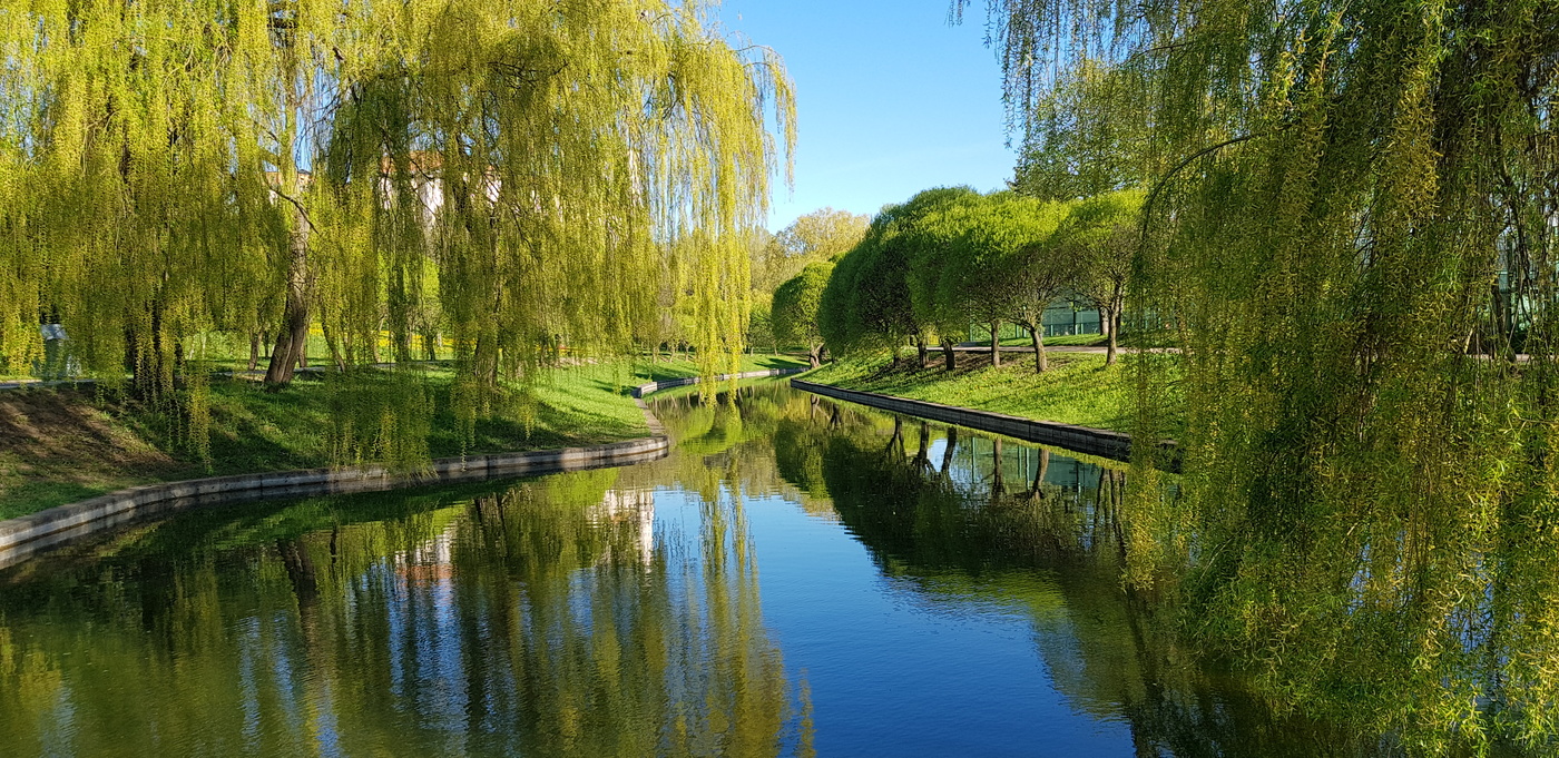 Майский день...