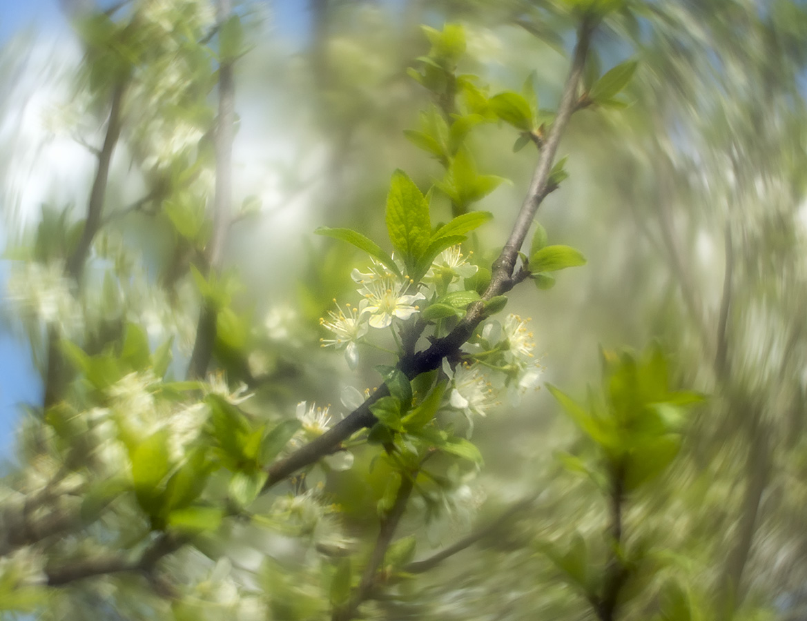 Майские зарисовки.