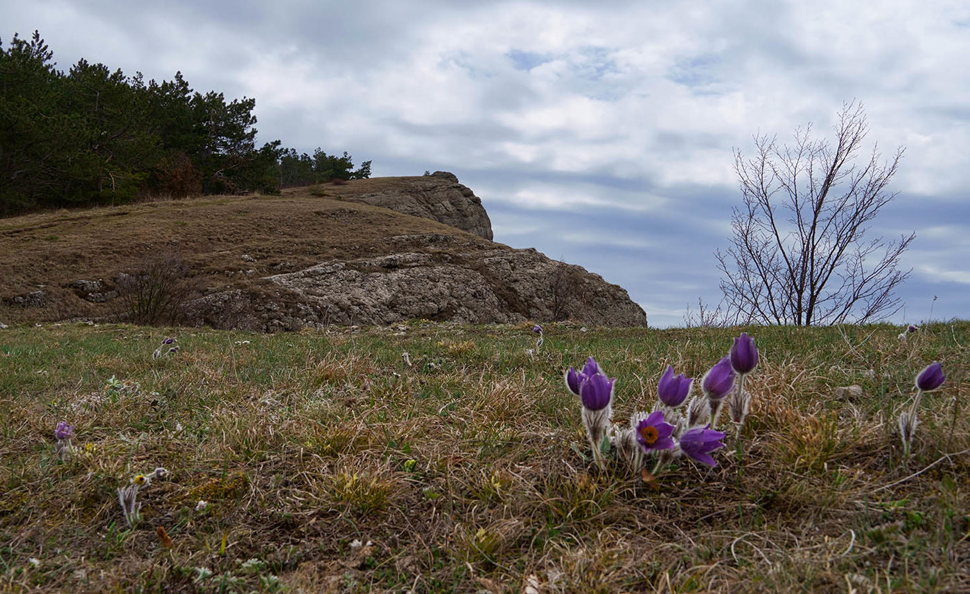 На склонах Сарпа-Кая