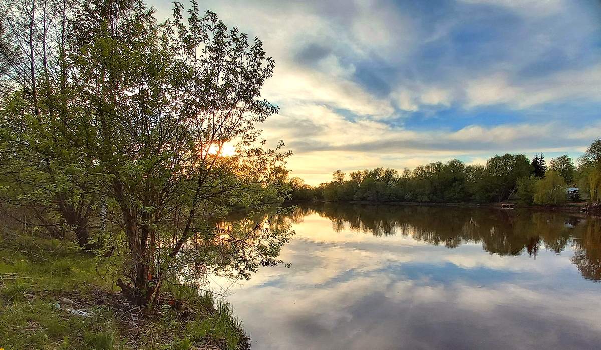 Майским вечером на берегу реки
