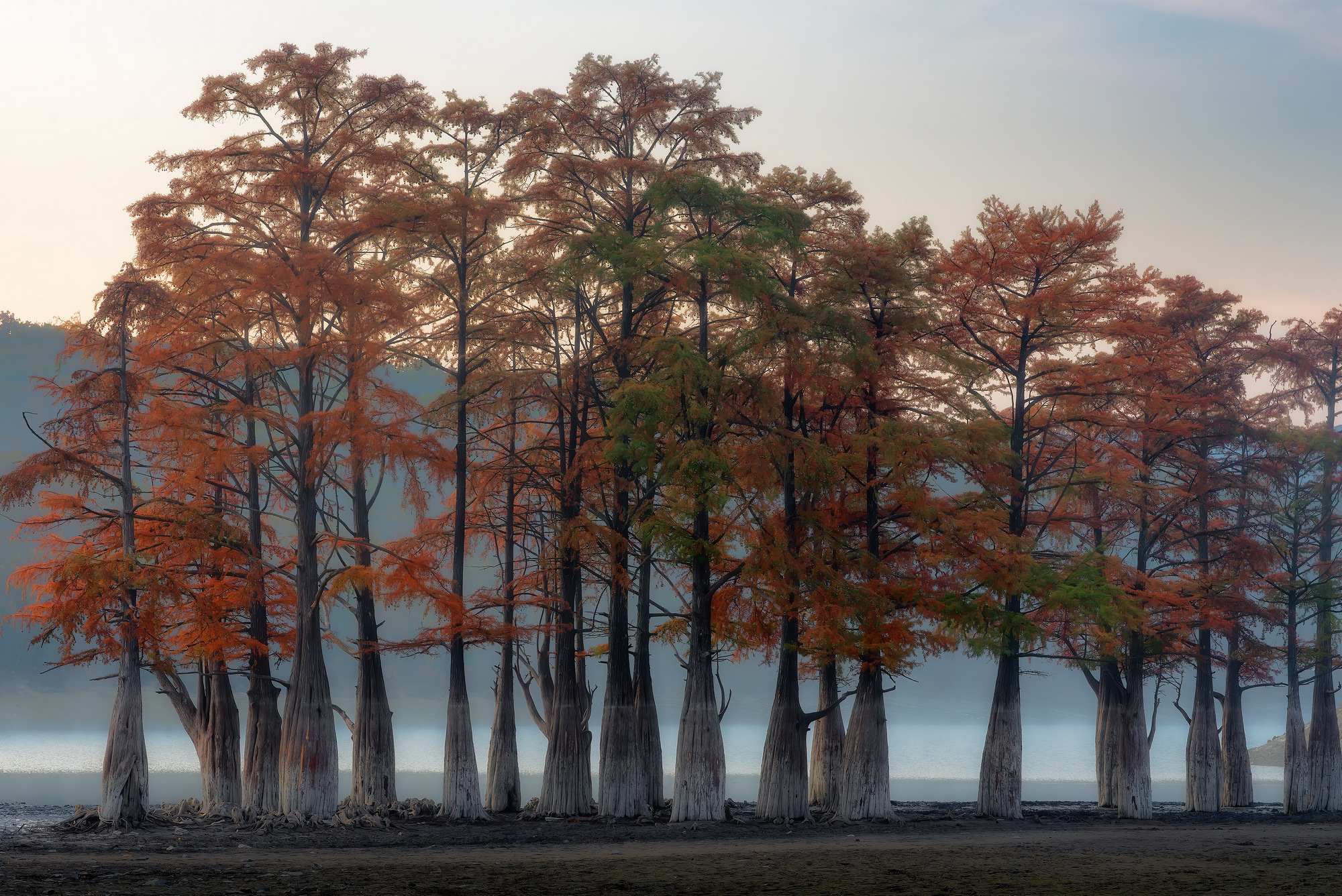 Когда приходит утро