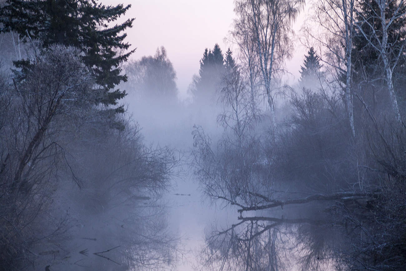 Синий туман....