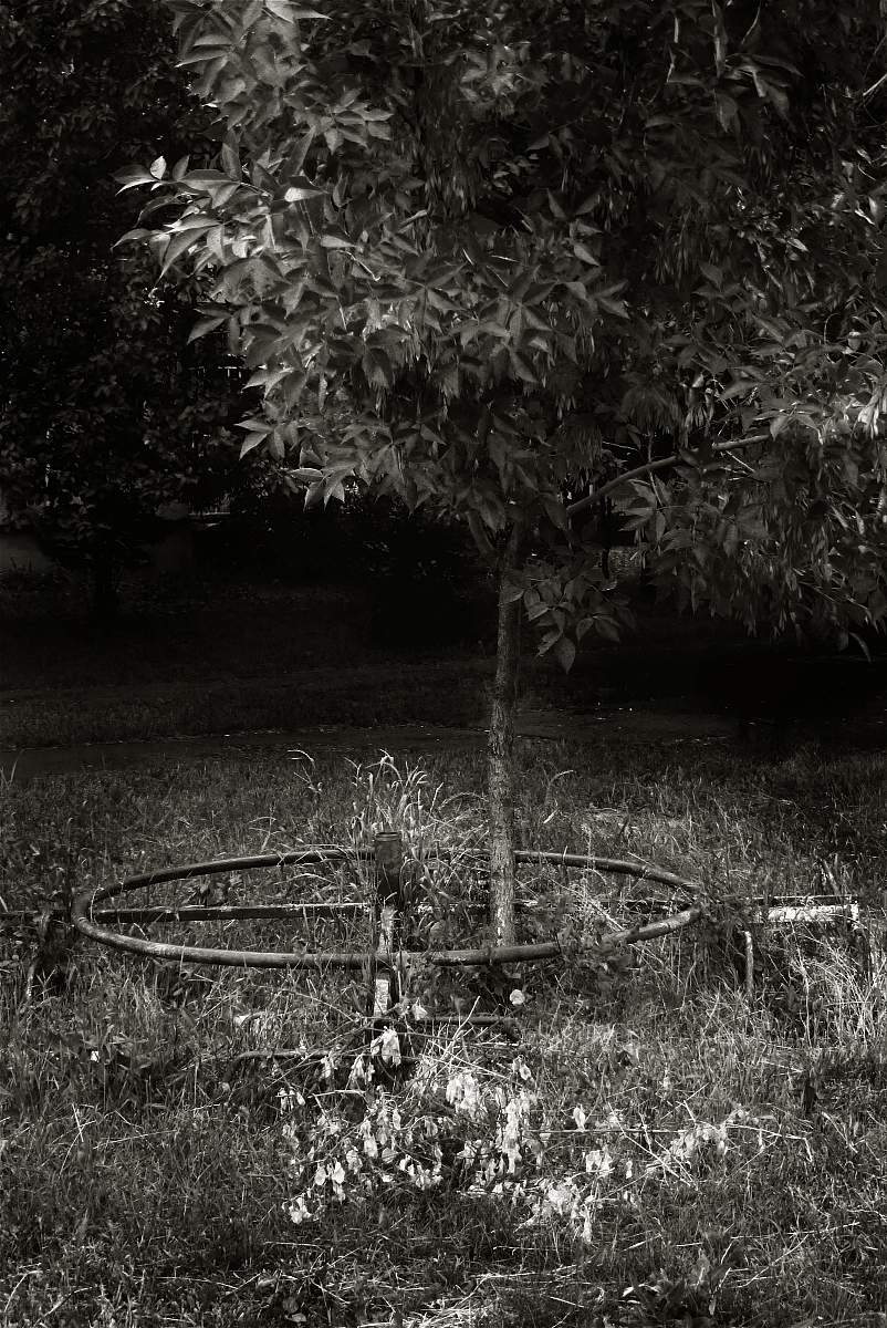 карусели мои