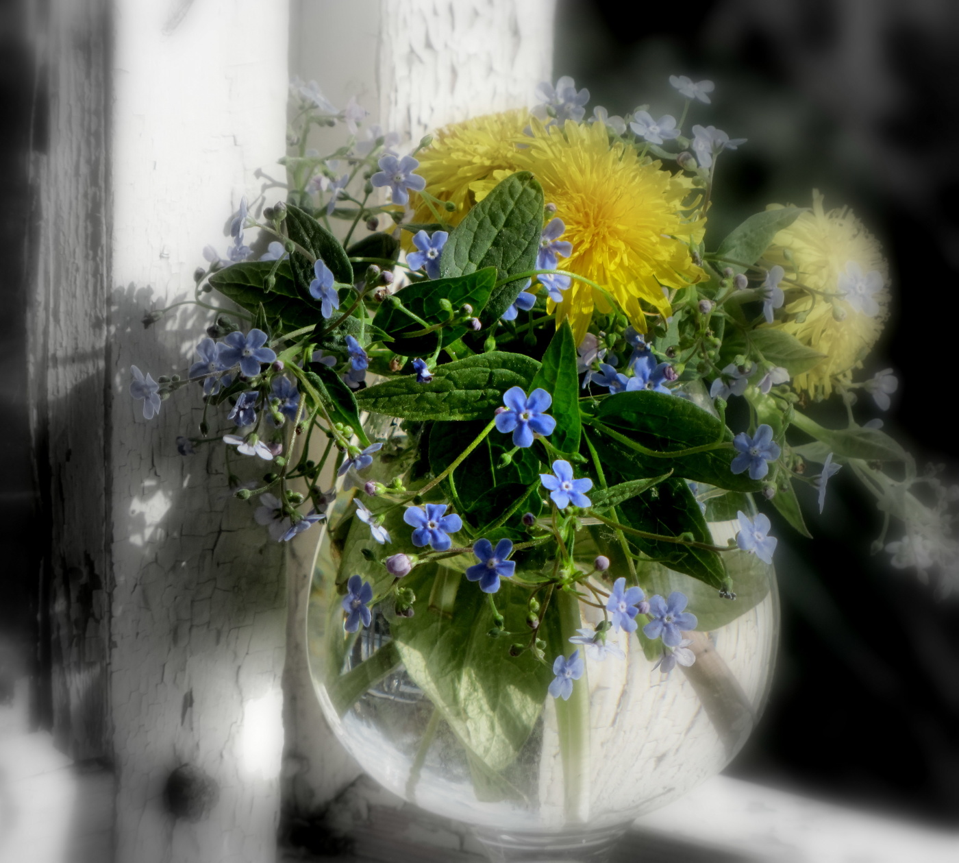 Этюд с незабудками!