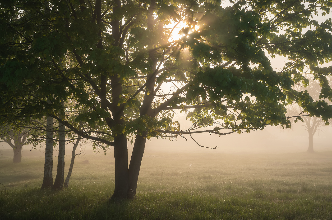 Одним майским утром
