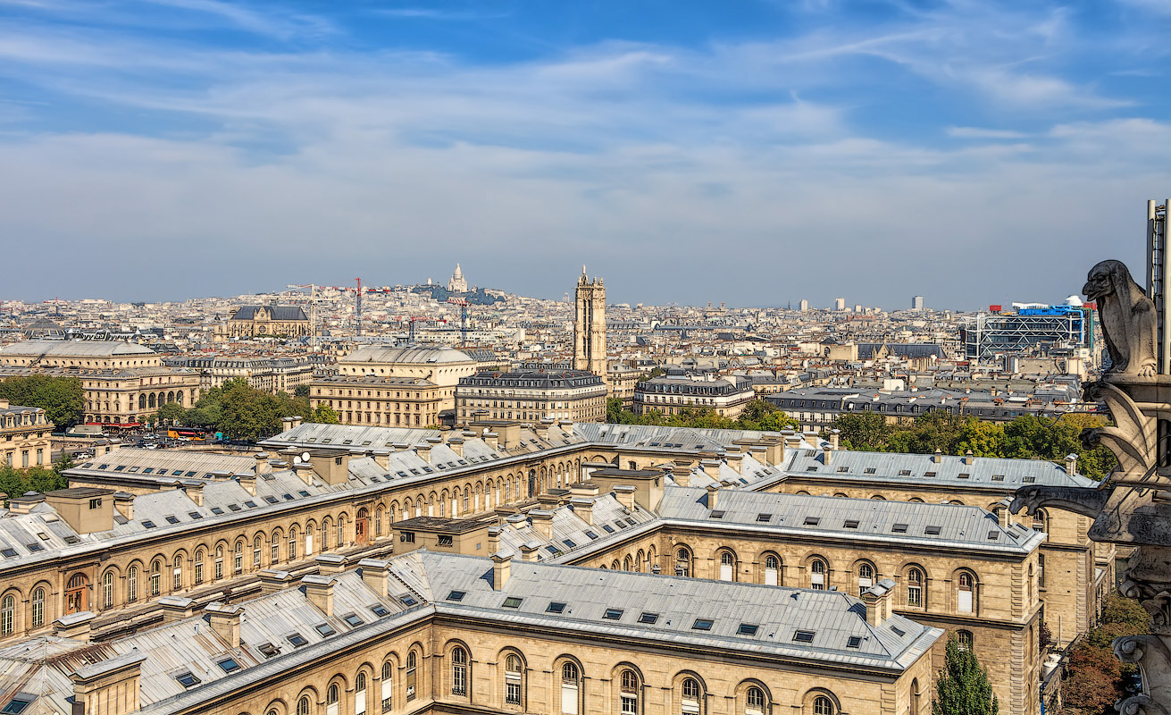 Химеры Собора Нотр-Дам-де-Пари