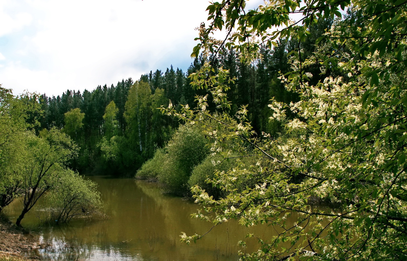 Майским днём.
