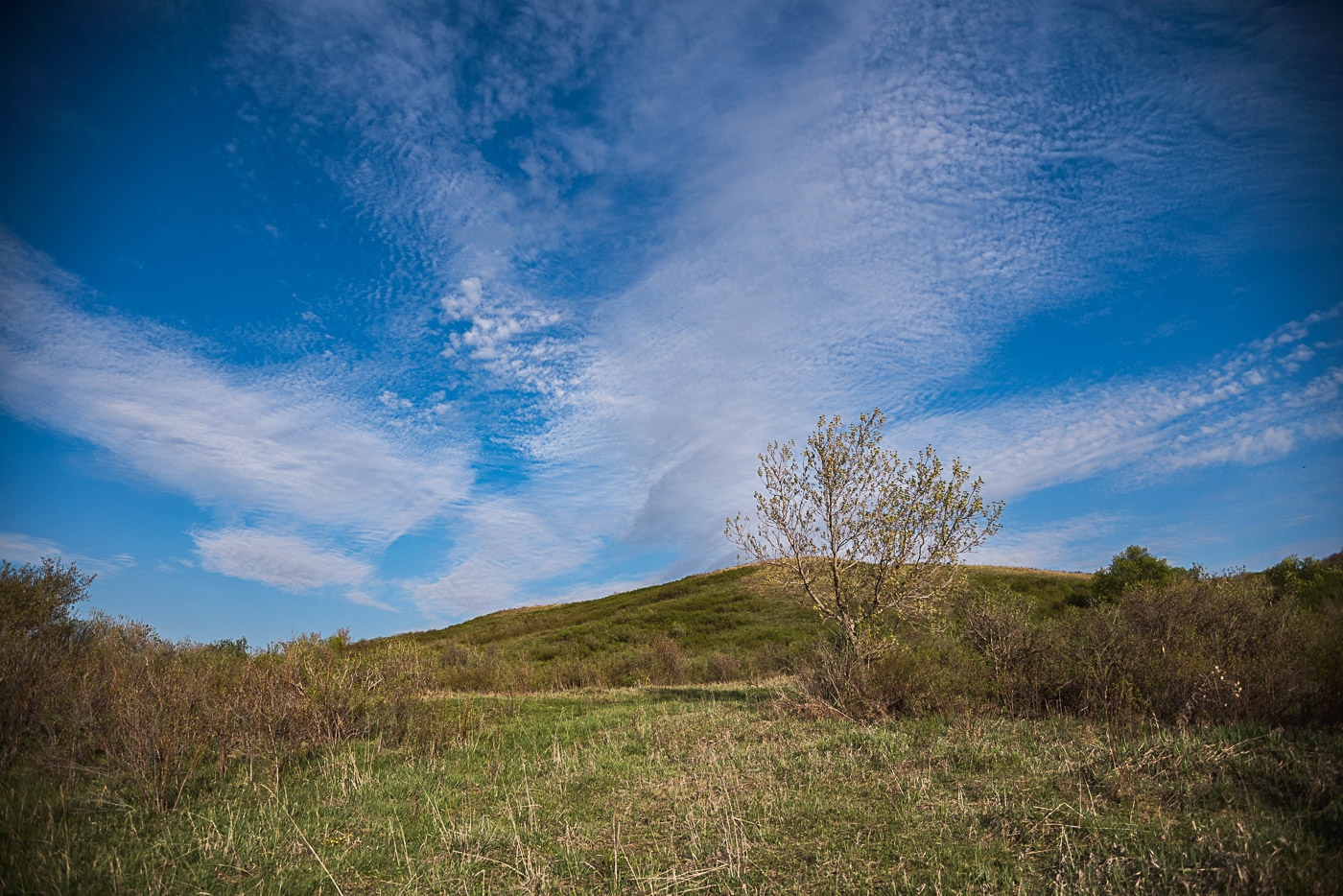 Майское небо