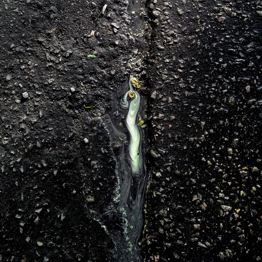 ... майский дождь ...