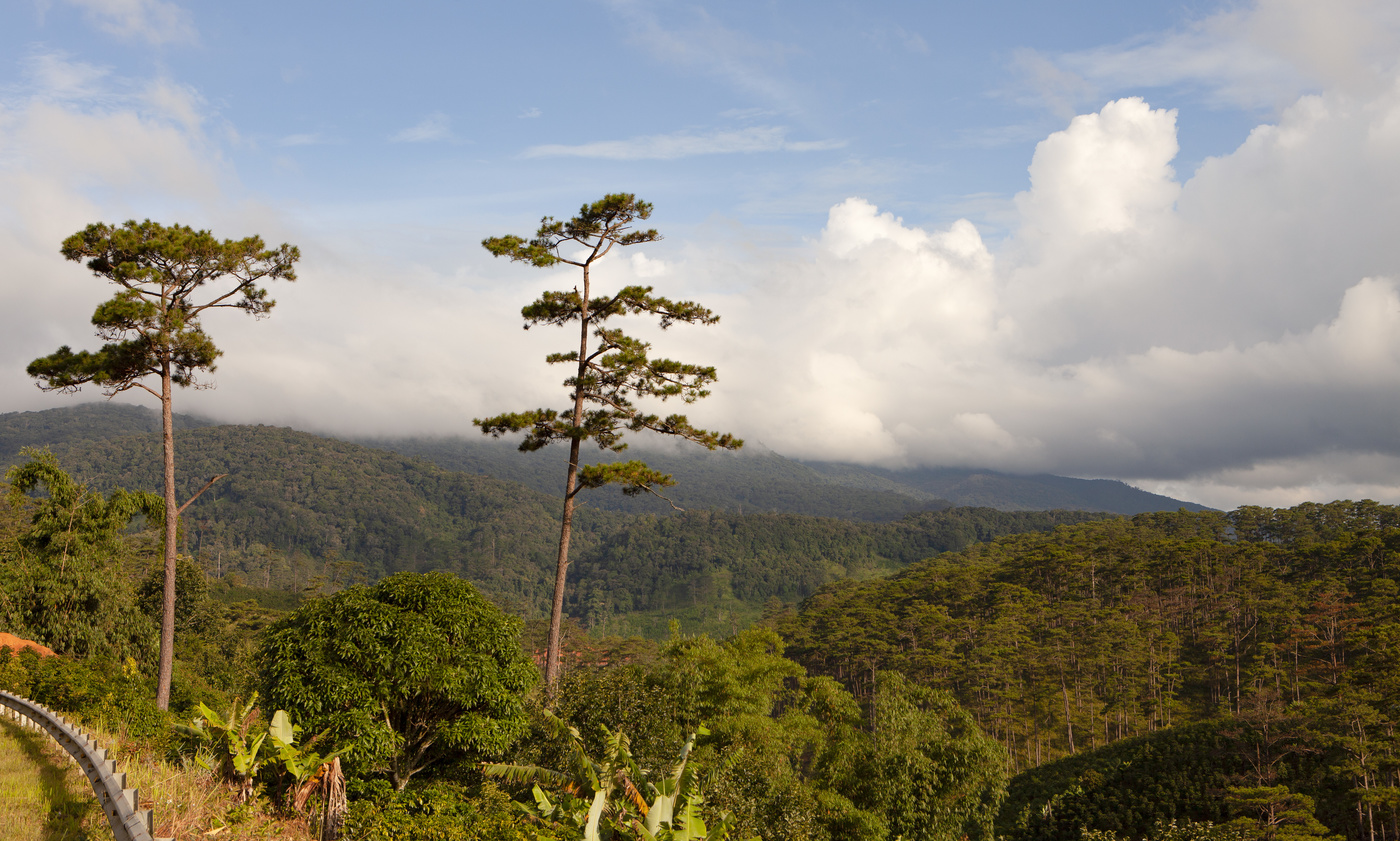 ГОРНЫЙ ПЕЙЗАЖ