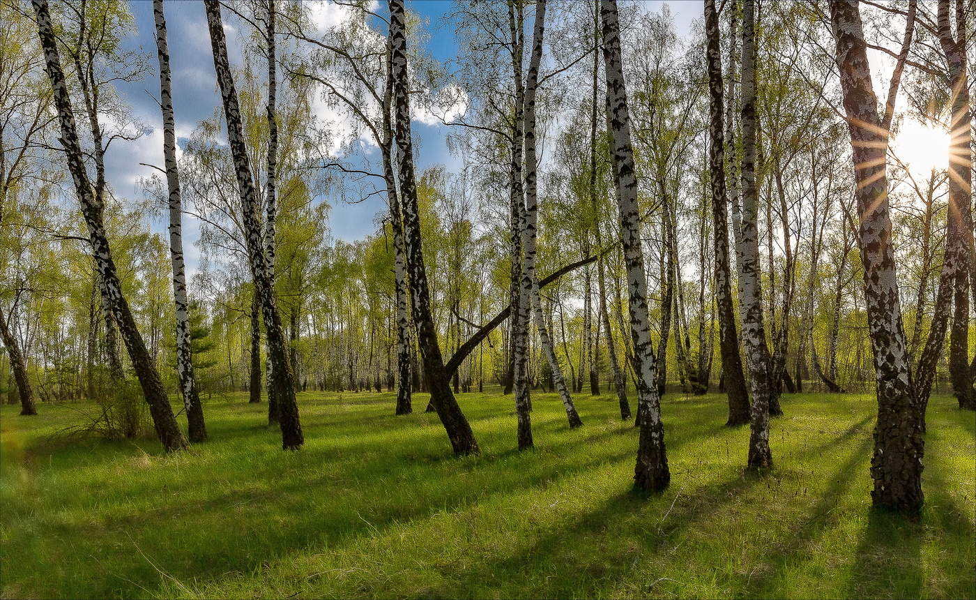 Вечерняя звезда.